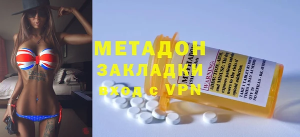 стаф Алзамай