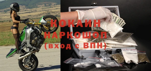 стаф Алзамай